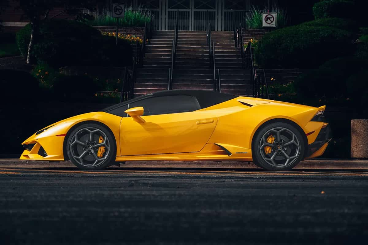 Next LVL Exotics Next LVL Exotics