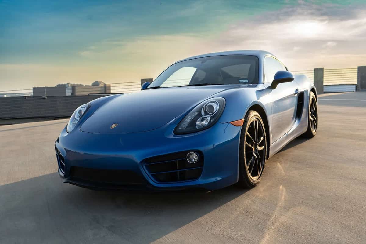 Roma Exotics Roma Exotics