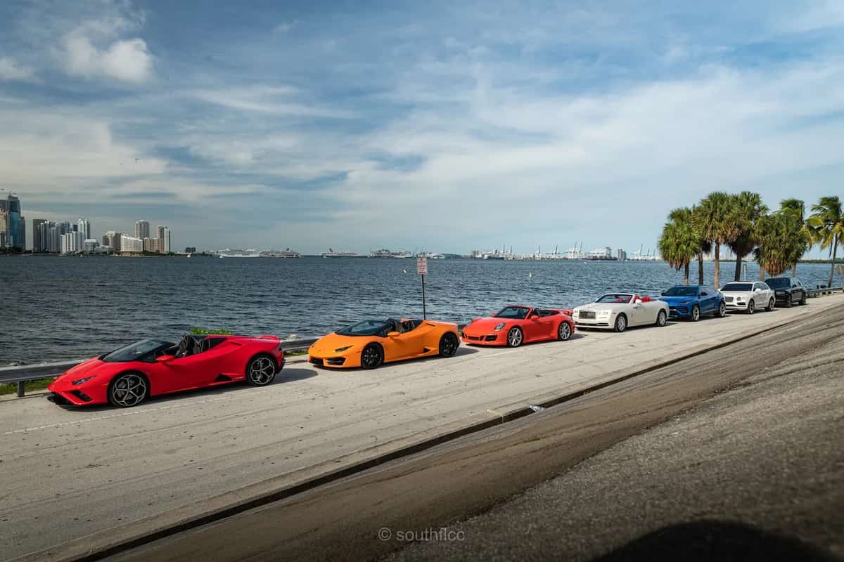 Panda Exotic Car Rental Panda Exotic Car Rental