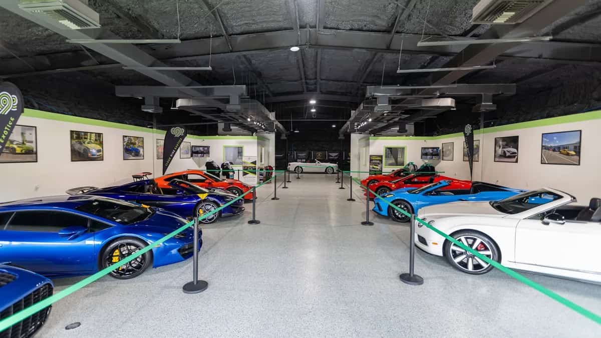 Cloud 9 Exotics Cloud 9 Exotics