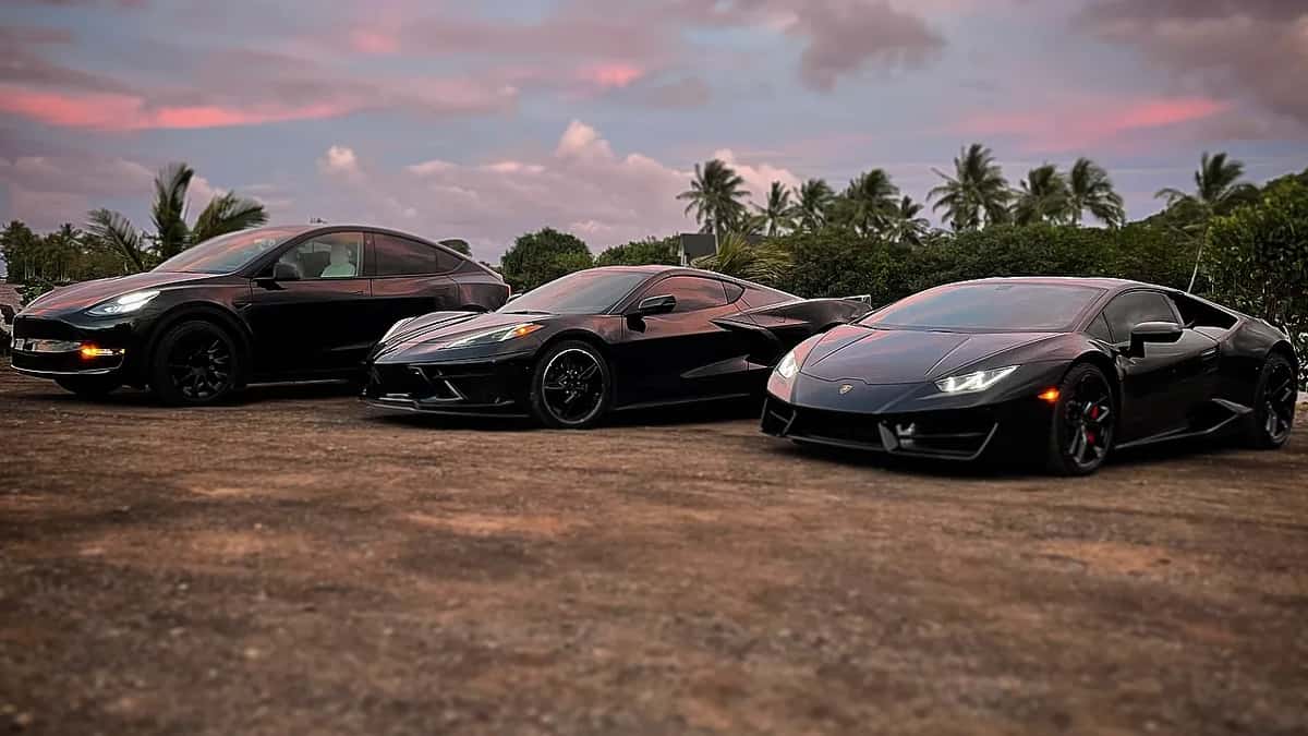 Honolulu Exotics cover
