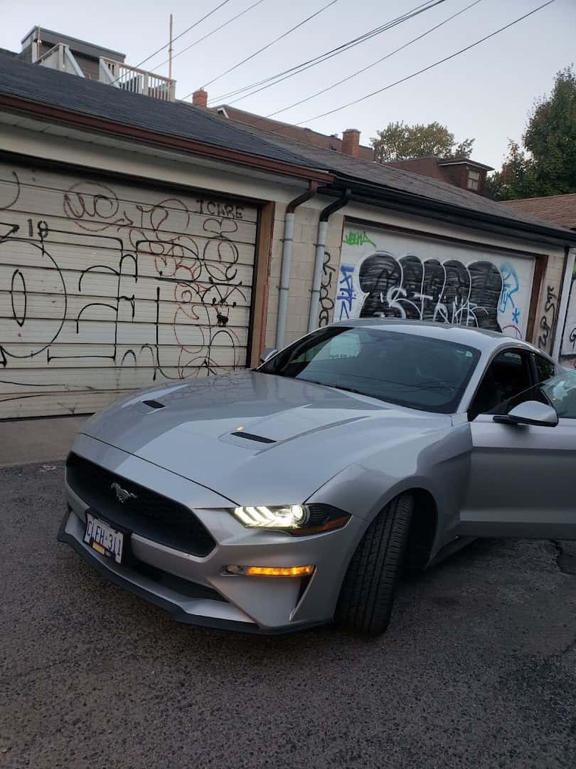 ALPHA Car Rental cover